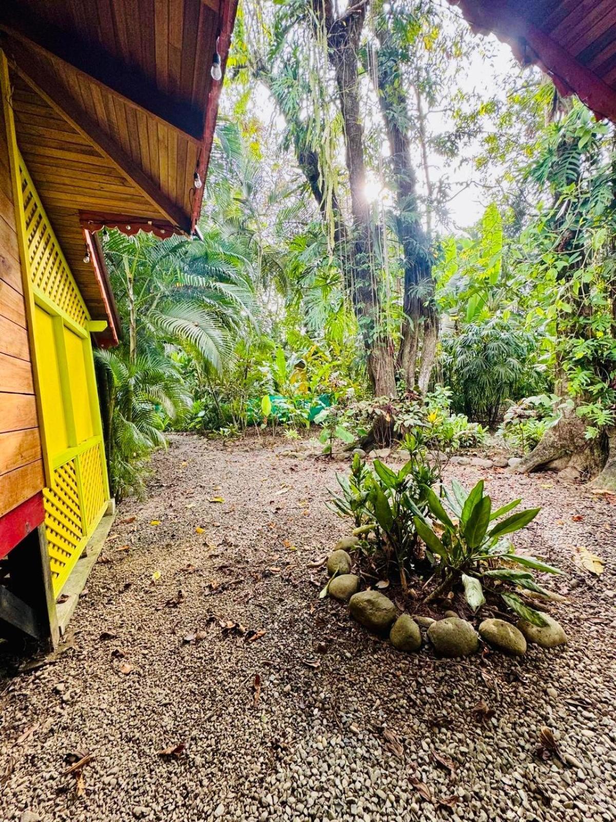 El Jardin De Playa Negra Villa Puerto Viejo de Talamanca Exterior photo